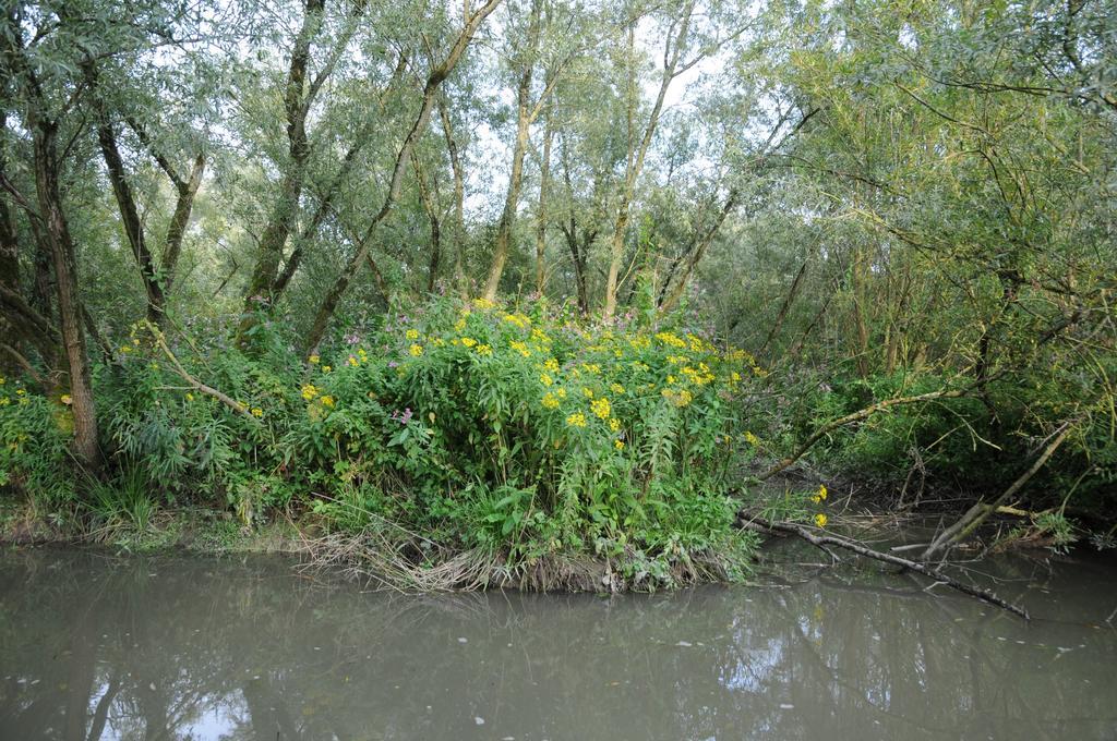 فندق De Brabantse Biesbosch فيركيندام المظهر الخارجي الصورة