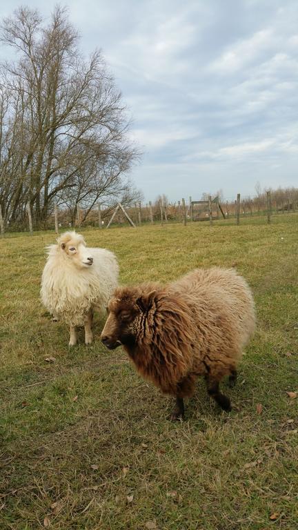 فندق De Brabantse Biesbosch فيركيندام المظهر الخارجي الصورة