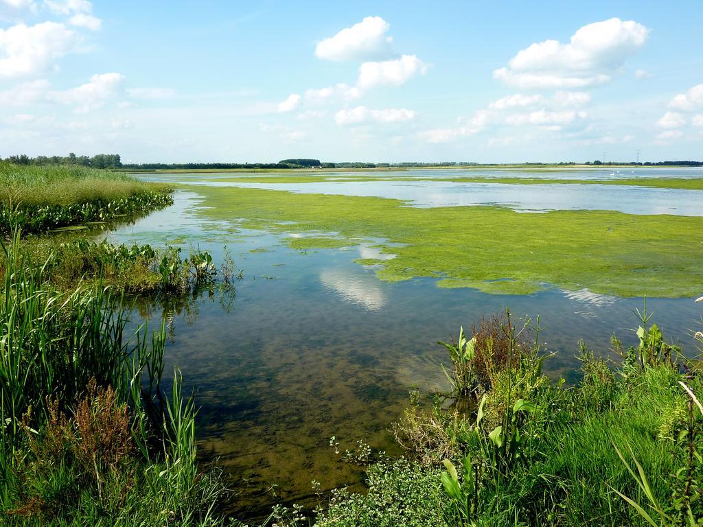 فندق De Brabantse Biesbosch فيركيندام المظهر الخارجي الصورة
