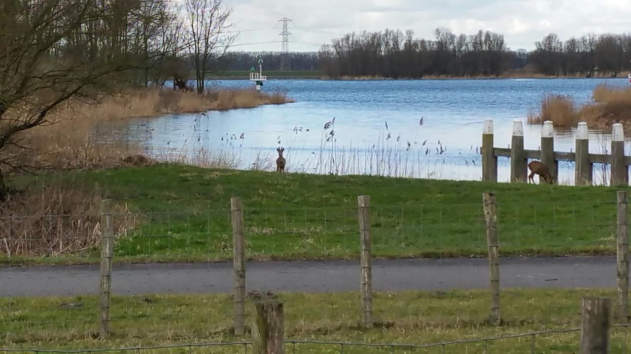 فندق De Brabantse Biesbosch فيركيندام المظهر الخارجي الصورة