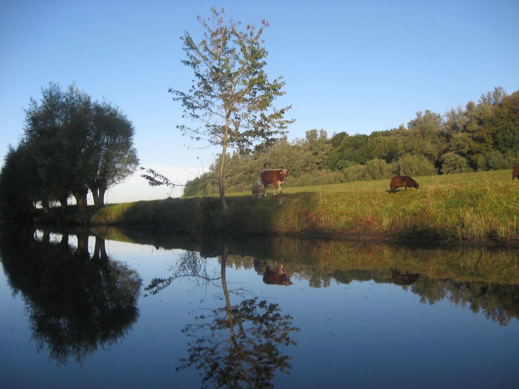 فندق De Brabantse Biesbosch فيركيندام المظهر الخارجي الصورة