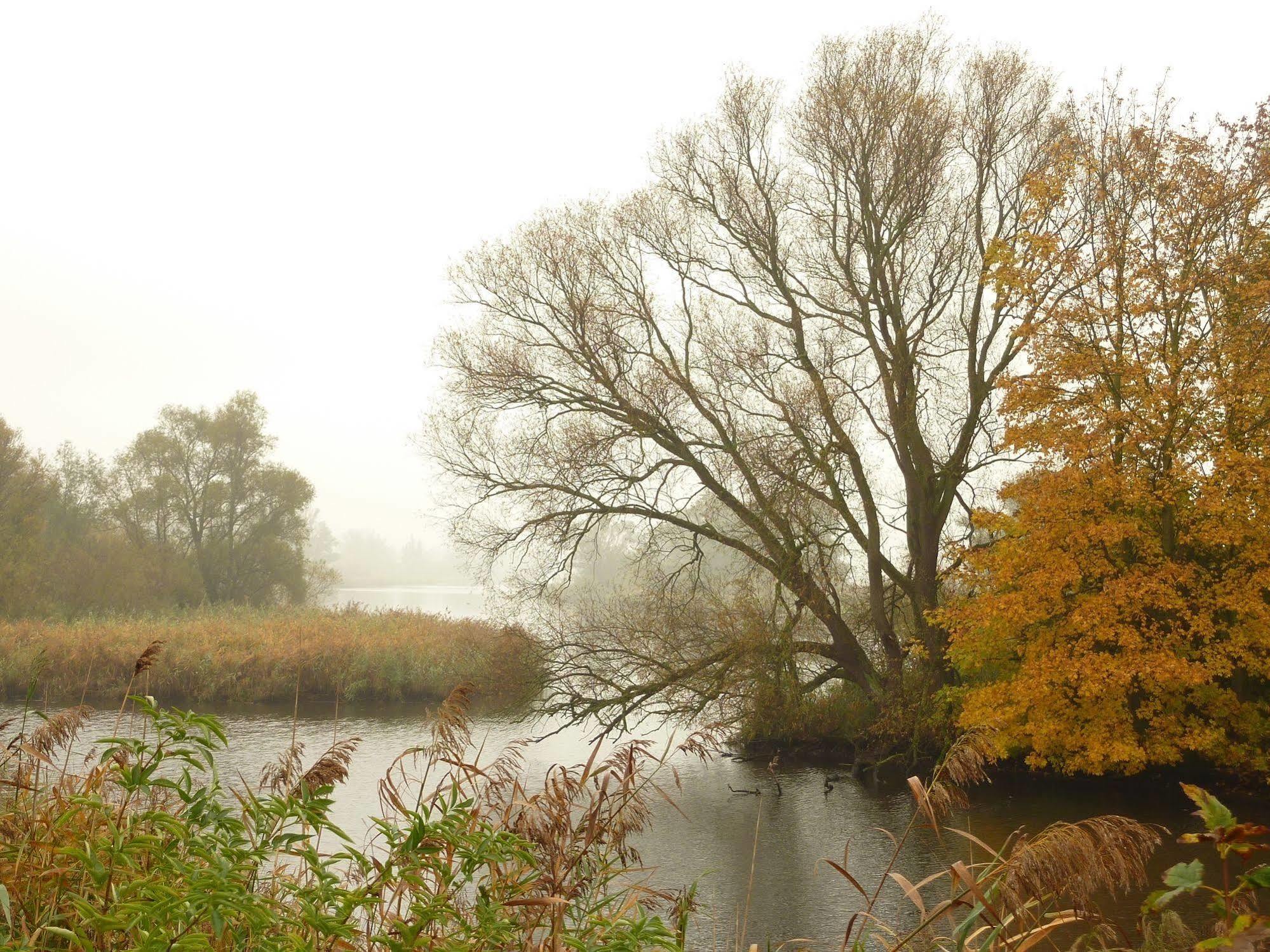 فندق De Brabantse Biesbosch فيركيندام المظهر الخارجي الصورة