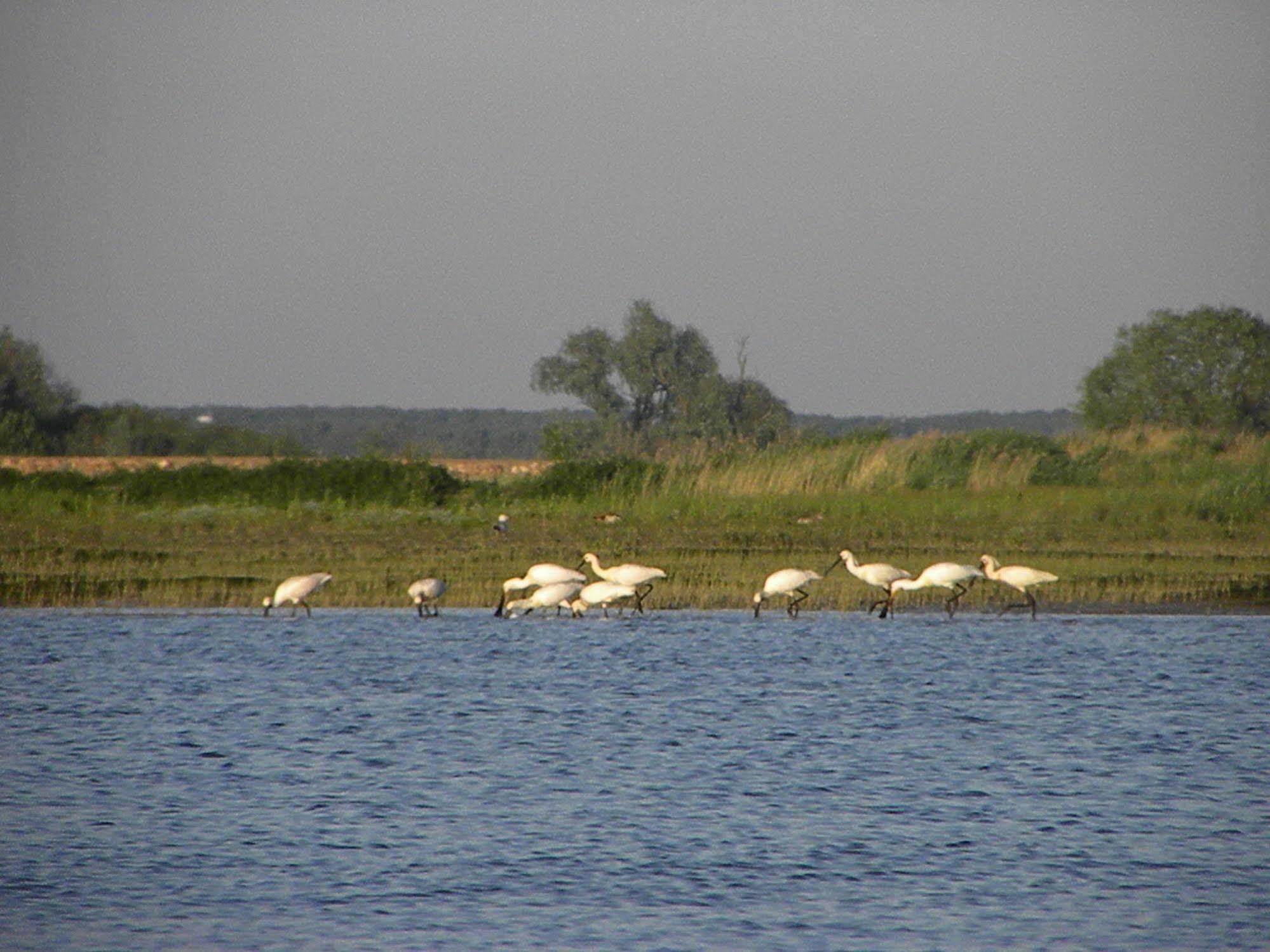 فندق De Brabantse Biesbosch فيركيندام المظهر الخارجي الصورة