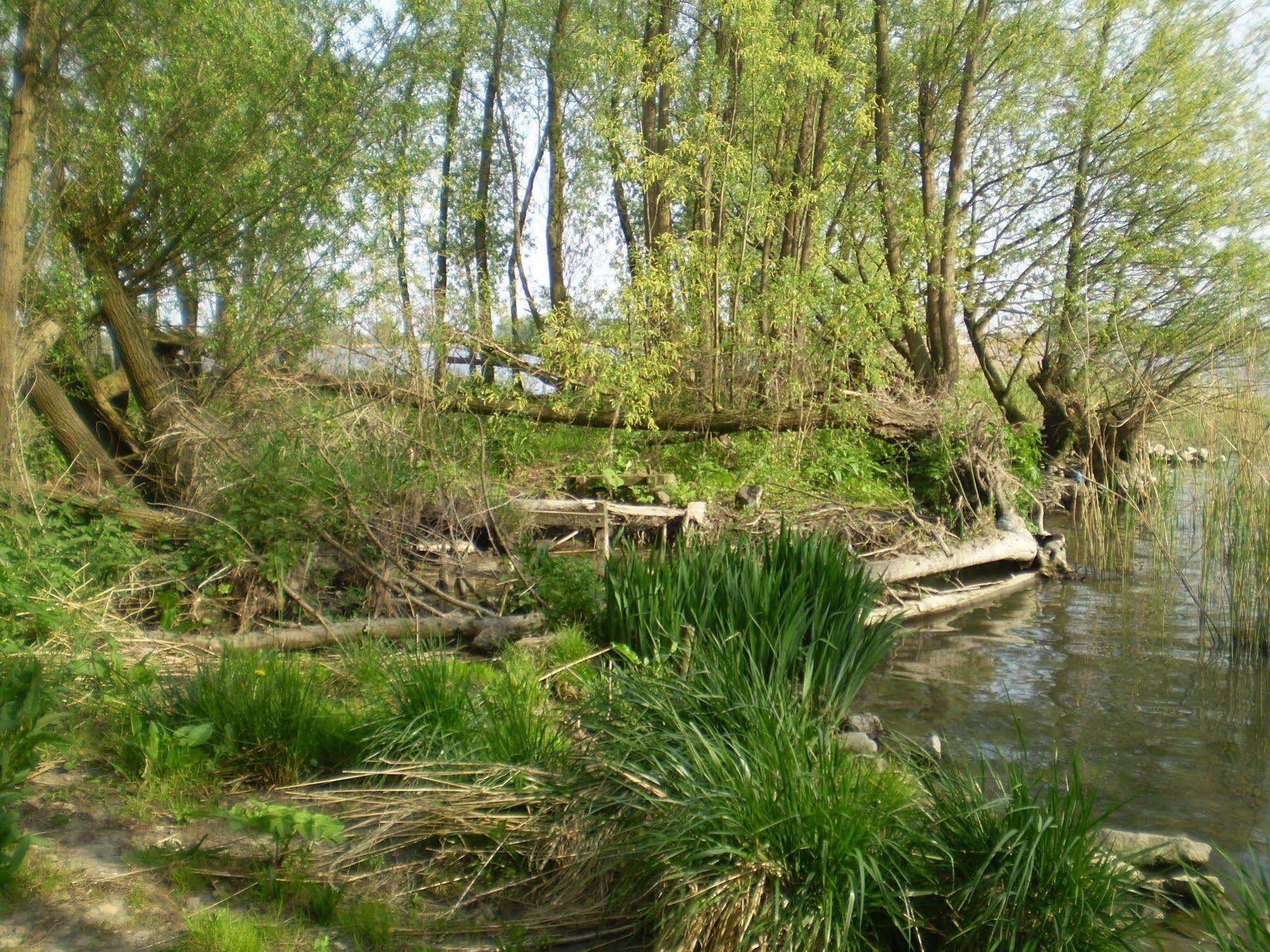 فندق De Brabantse Biesbosch فيركيندام المظهر الخارجي الصورة